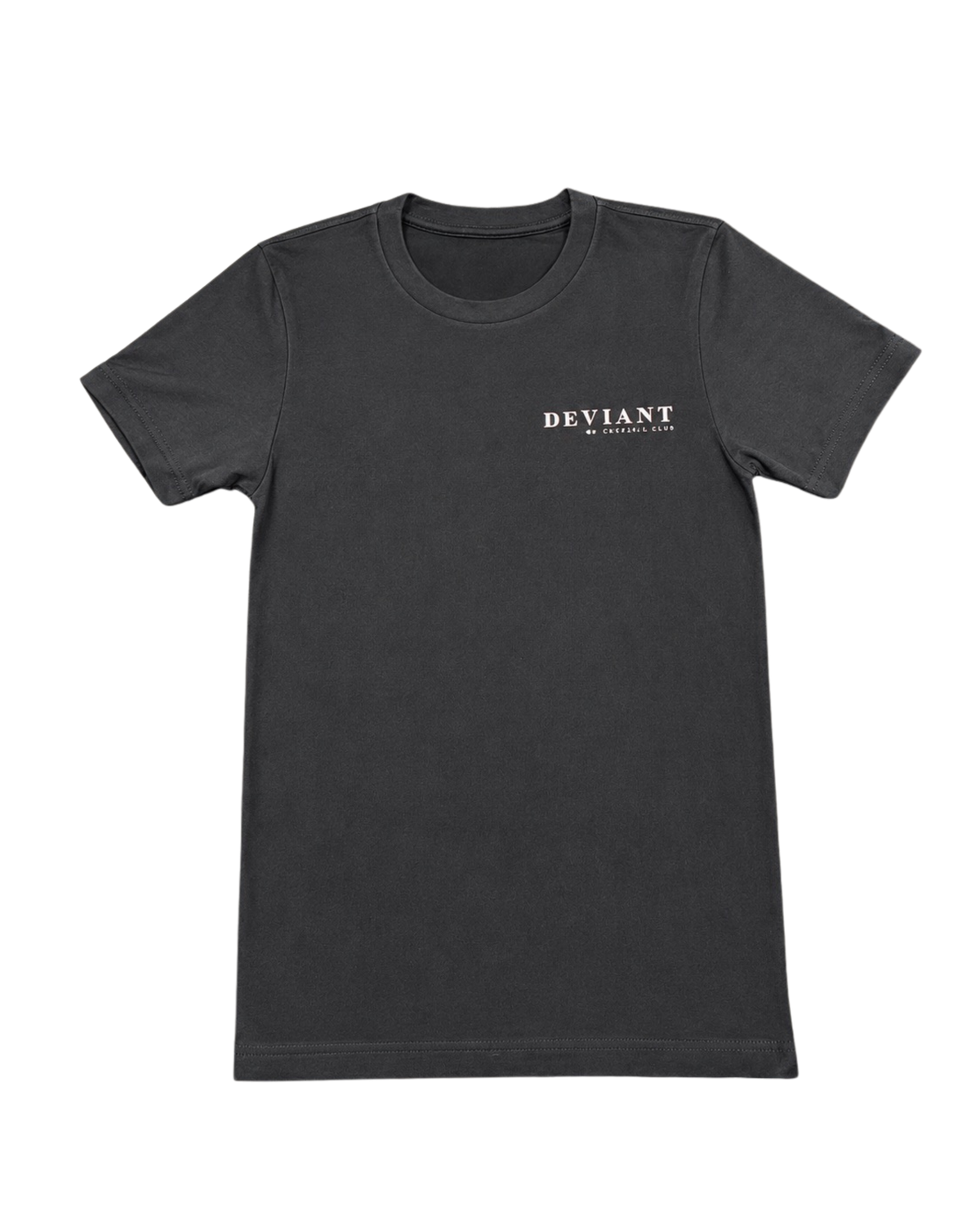 Raise Your Standards Tee